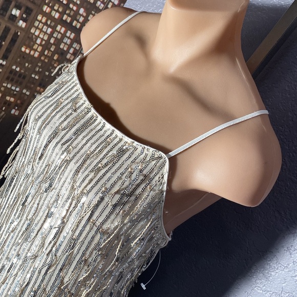 ALTAR’D STATE - dress: silver mesh w allover sequin fringe, lined w zipper - XL - Picture 3 of 16